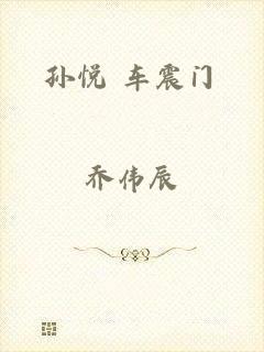 孙悦 车震门